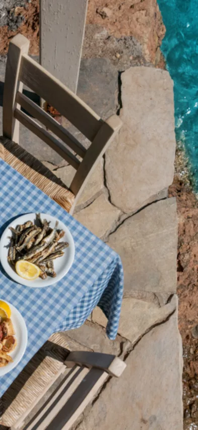 Greek taverna food web