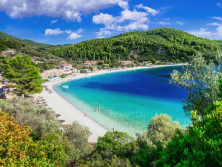 Panormos beach Skopelos Greece web