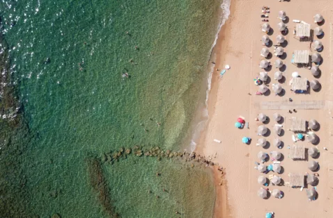 Shutterstock halikounas cfu