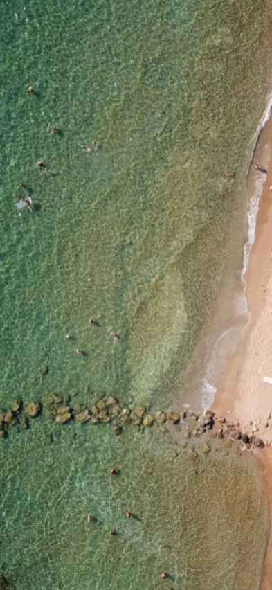 Shutterstock halikounas cfu