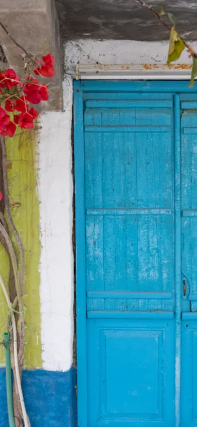 Shutterstock meganisi door