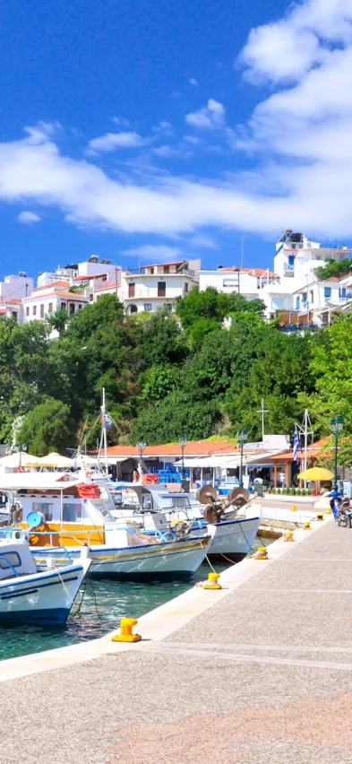 Skiathos town boats Skiathos Greece web