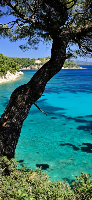 Spartines bay Alonissos Greece